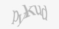 Защитный код